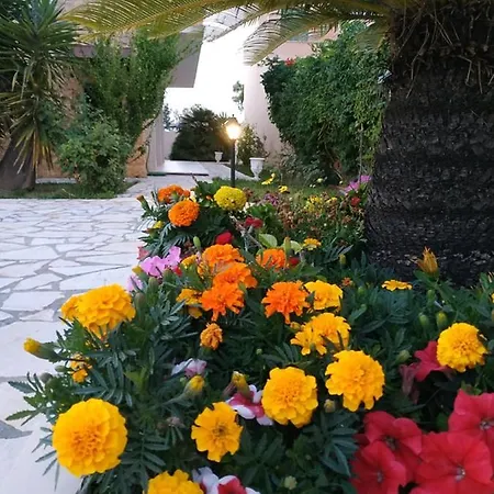Apartament Lena *